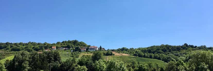 Lux Moselle Valley Wine & Vineyard Escape