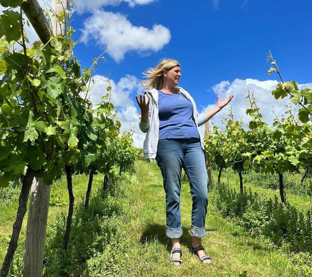 Huxbear Vineyard