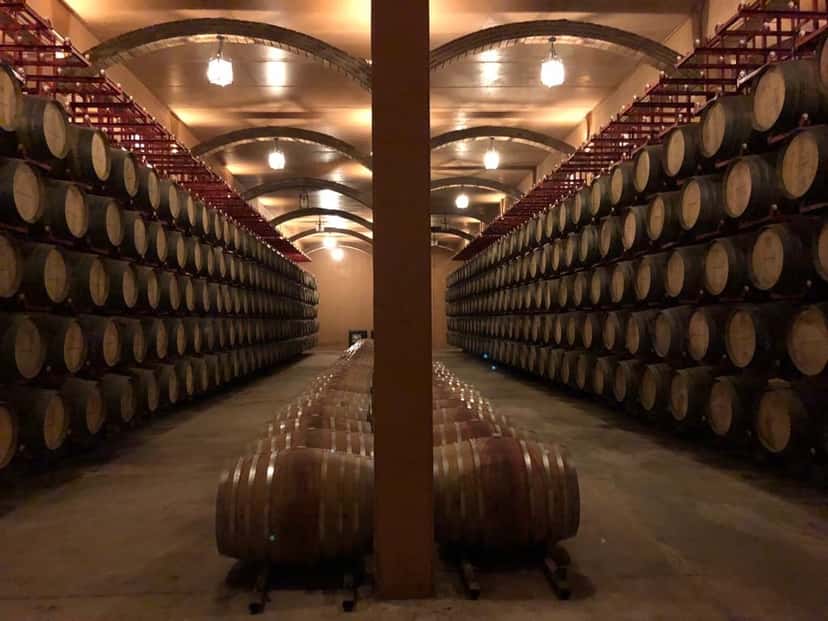Weingutbesuch und Weinprobe in der Hacienda Villarta