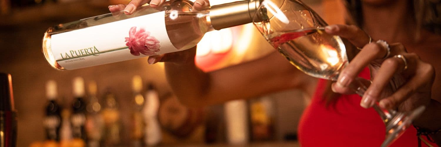 Cuyo Vineyard Adventure: Taste, Tour & Tradition