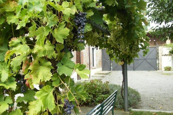Azienda Agricola Vitivinicola Casa Garello