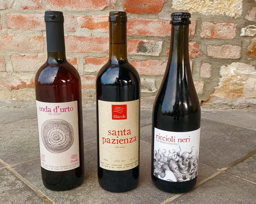 Taste Emilia's Croatina Wines from 100-Year-Old Vines