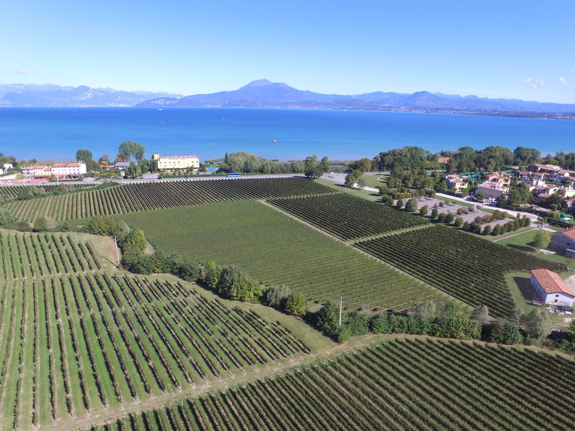 Corte Sermana Veneto Lugana Winery Foto 1