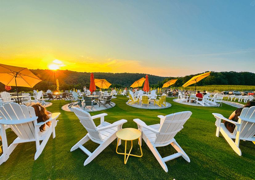 Aquila's Nest Vineyards