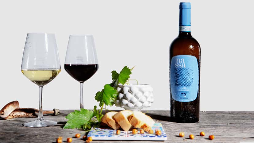 Sicily’s Noto Wine & Olive Oil Tasting at Feudo Ramaddini