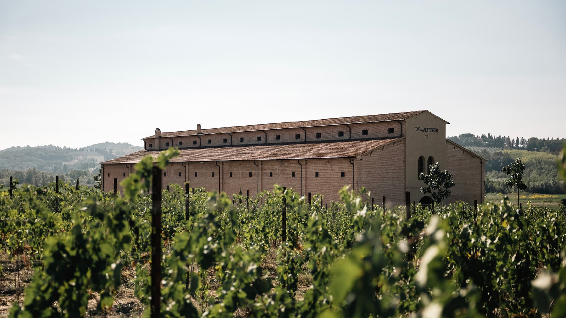 Tenuta di Montefoscoli photo 2
