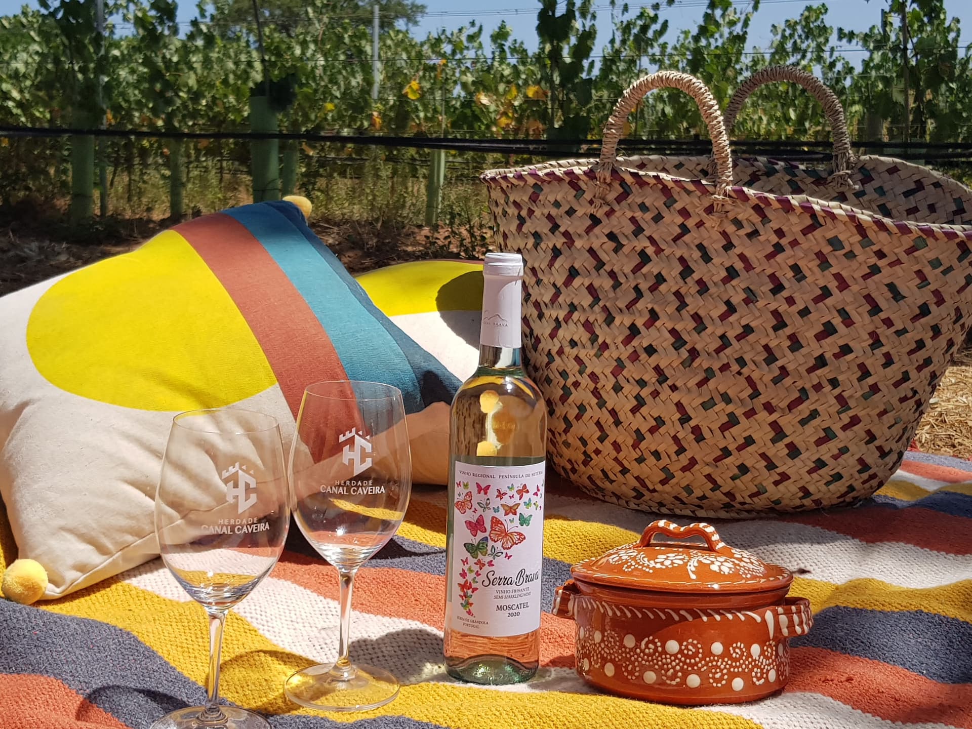 Vineyard Picnic & Wine Tasting at Setúbal Peninsula