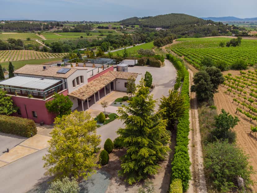 Mas Bertran Winery Tour och provsmakningsupplevelse