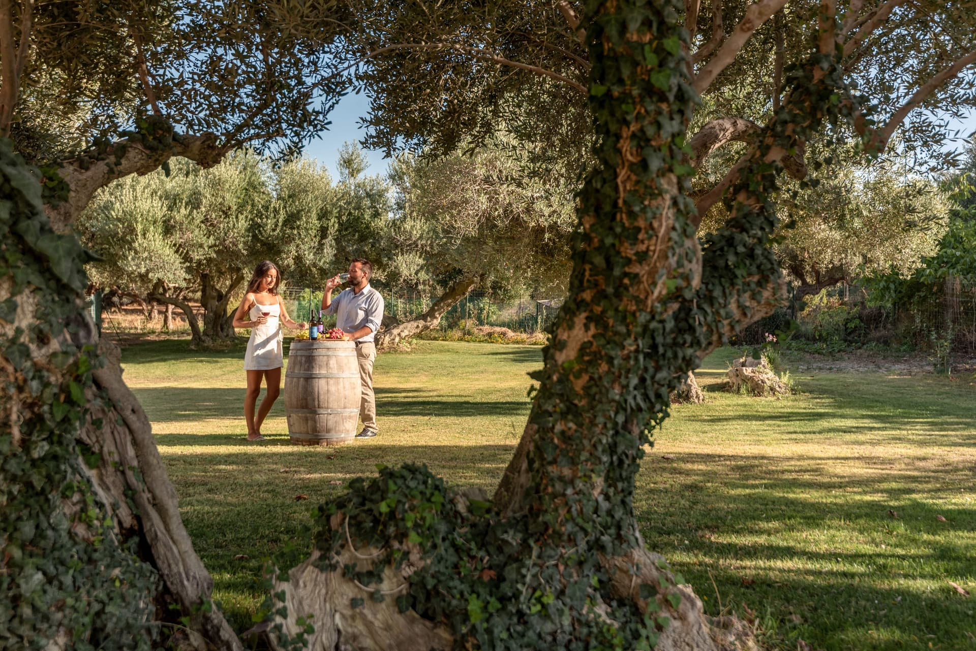 Patriotis Winery foto 3