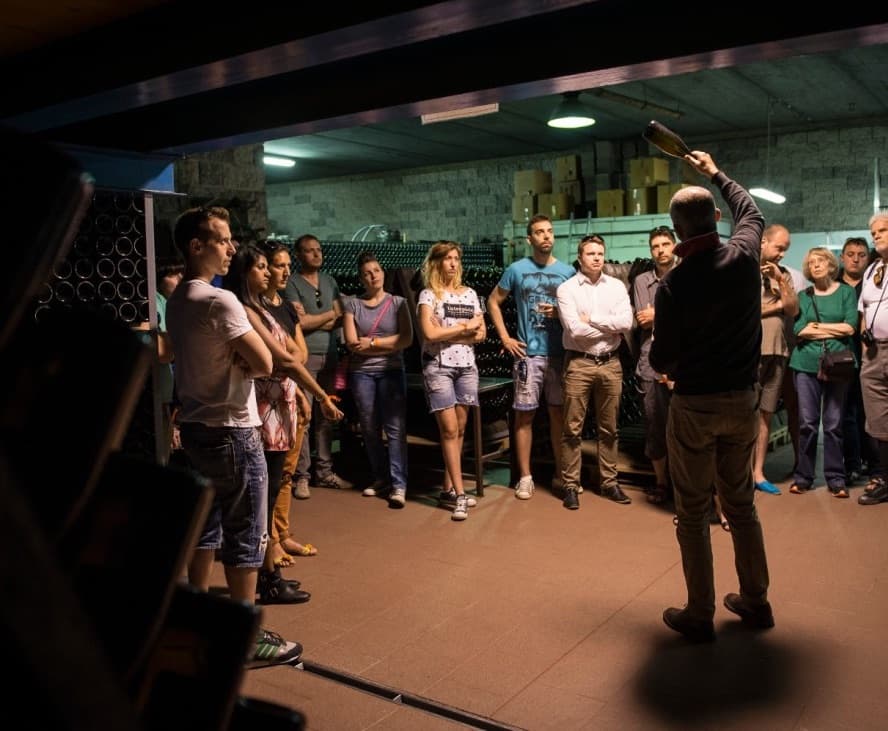 Discover a Trentino Castle for a Signature Wine Tasting