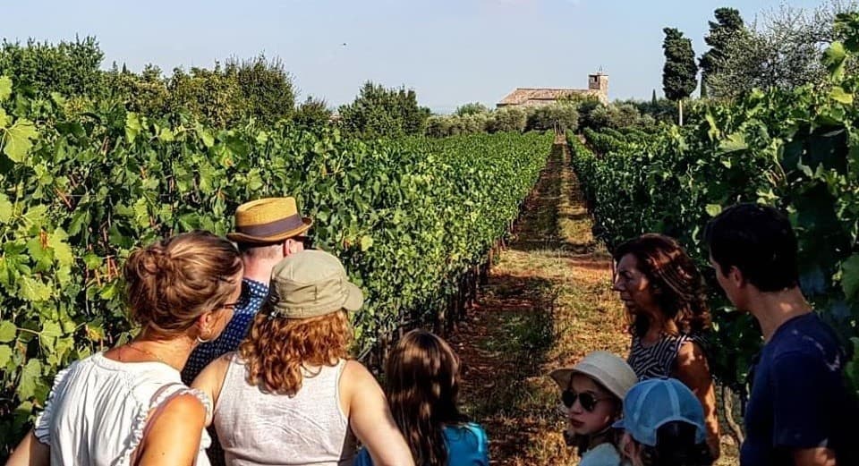 Experiencia de descubrimiento en Tenuta Di Trecciano