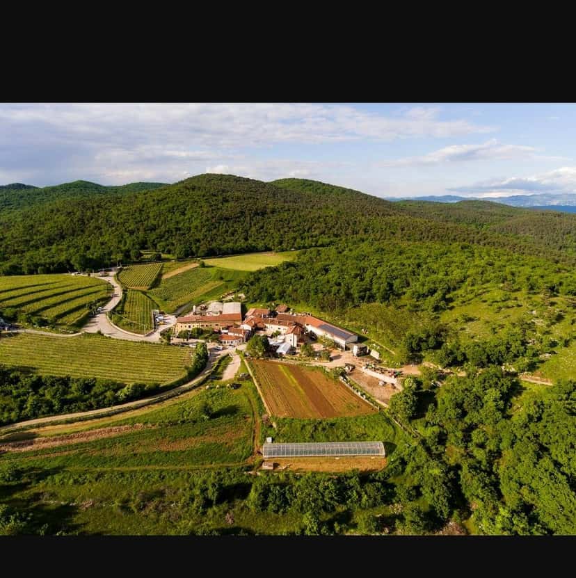 Milic Zagrski Winery