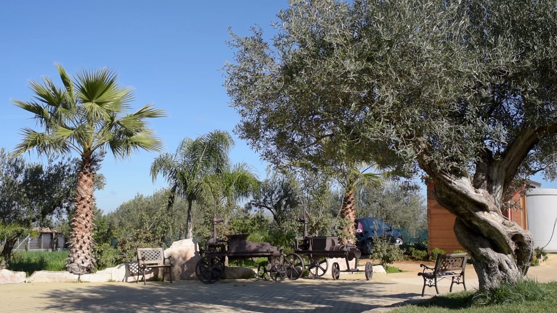 Tasting of Sicilian oils and typical products