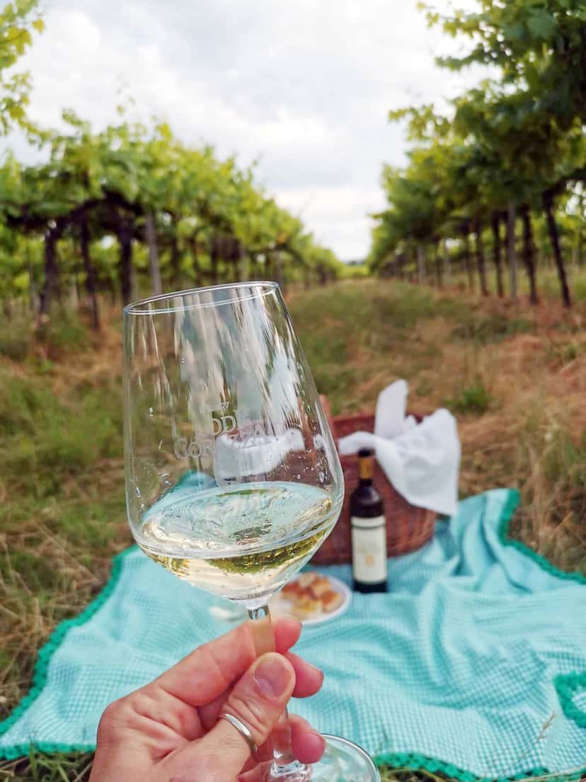 Pic Nic em Vigna | Lodi Corazza