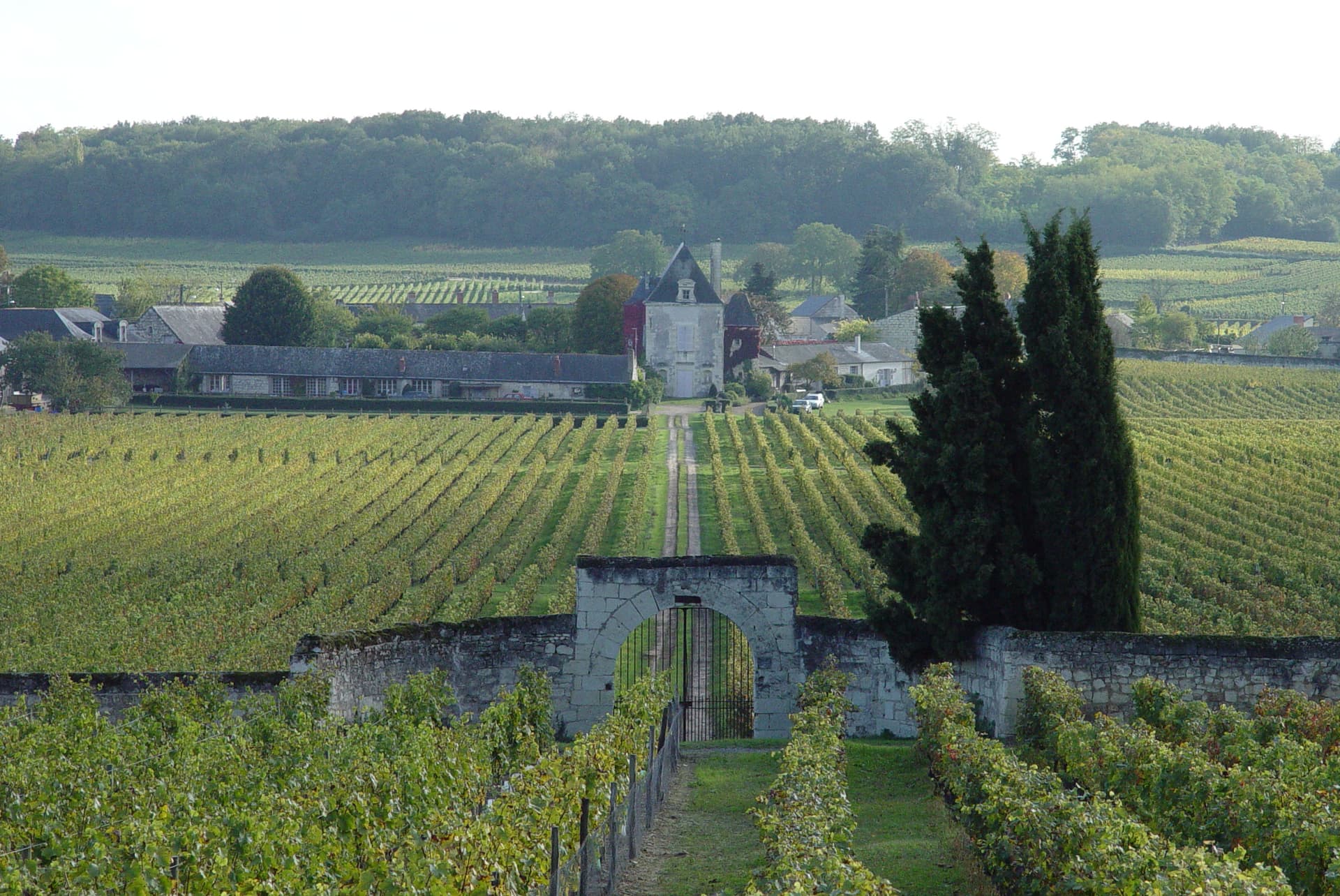 Château de Chaintres foto 1