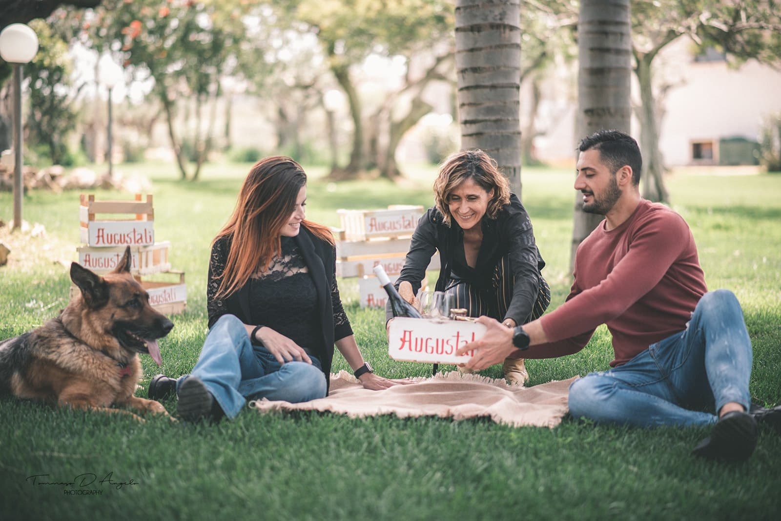 Picknick auf dem Rasen | Weintour und Weinprobe bei Augustali