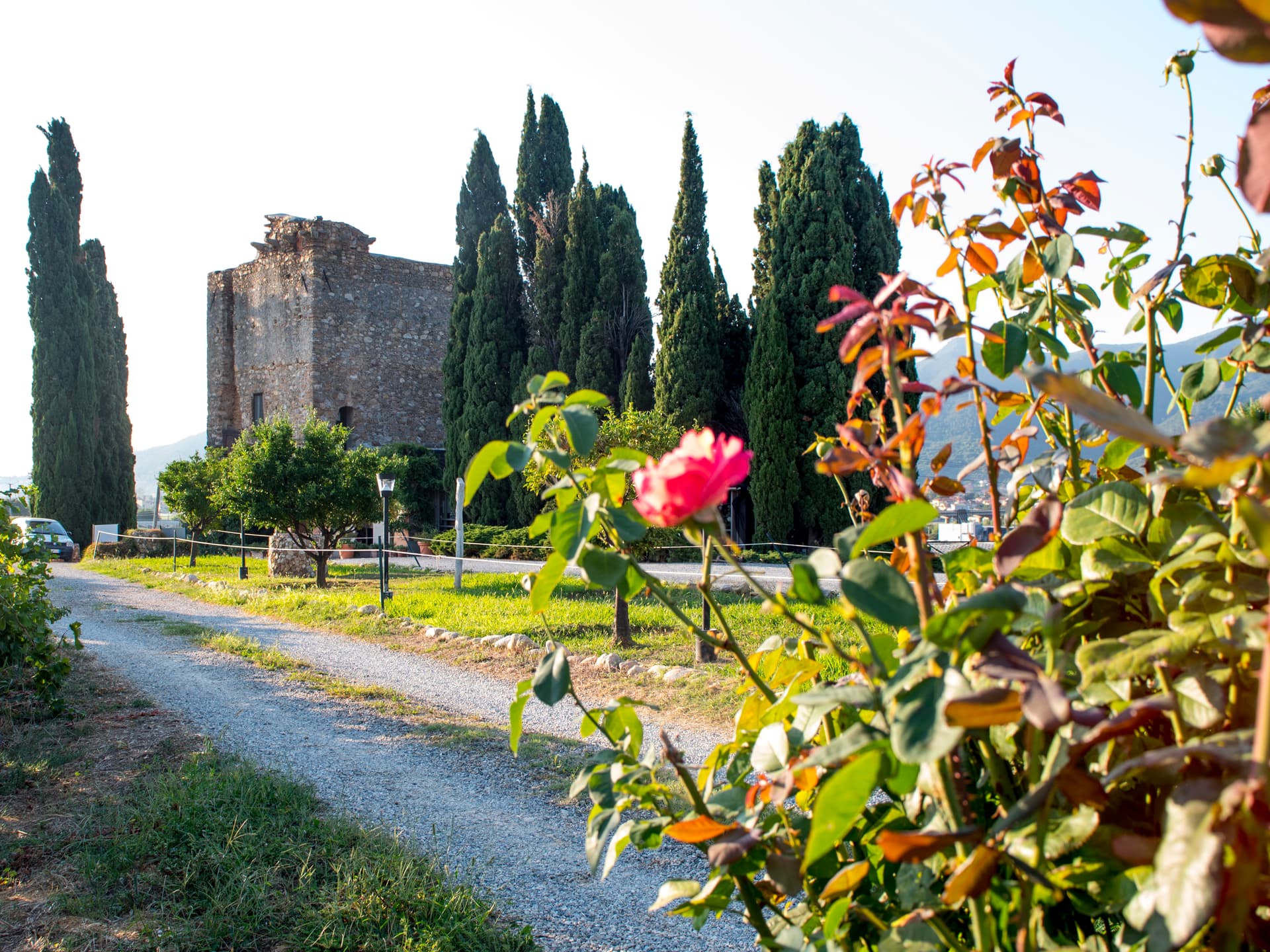 Degustazione di vini e tour presso l'Agriturismo Torre Pernice