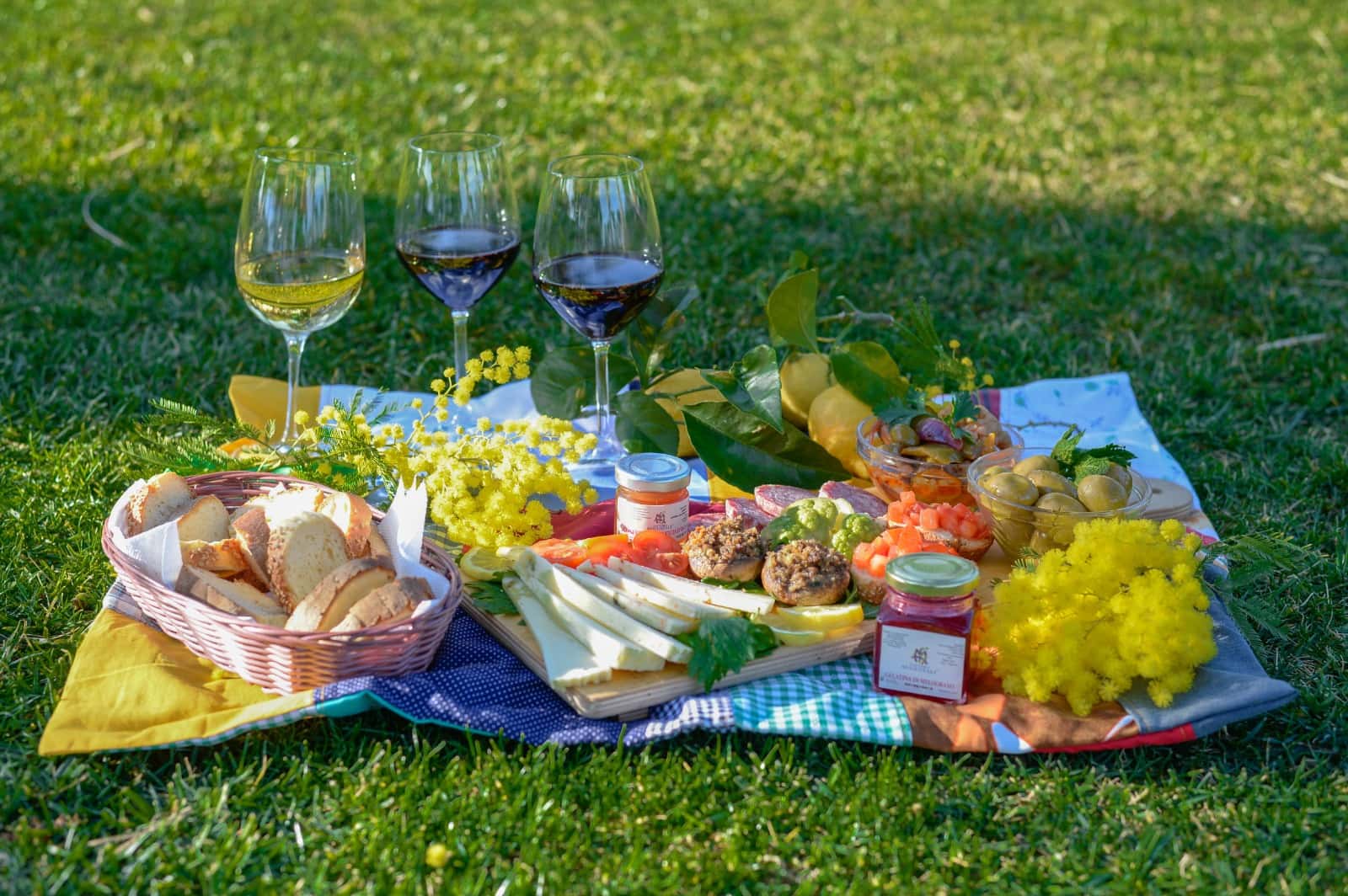 Picnic en el césped | Visita y cata de vinos en Augustali
