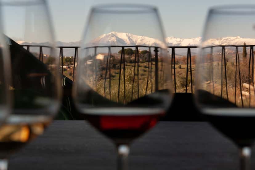 Terroir Piceno + Accord | Vignobles Vallorani