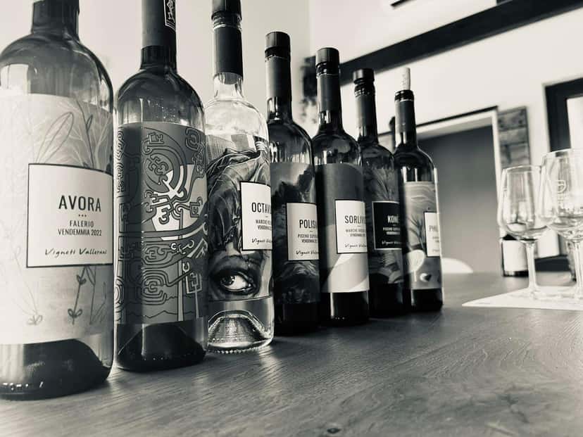 Dégustation d'élixir | Vignobles Vallorani