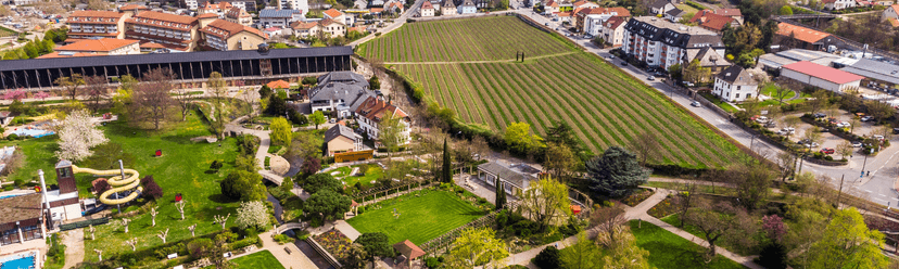Langenlois wine city