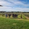 Visitas a bodegas de Canberra