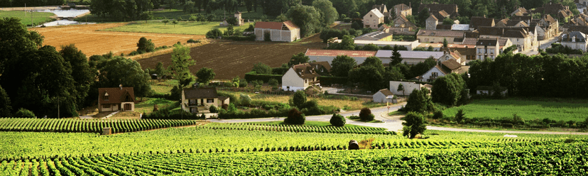 Chablis wine city