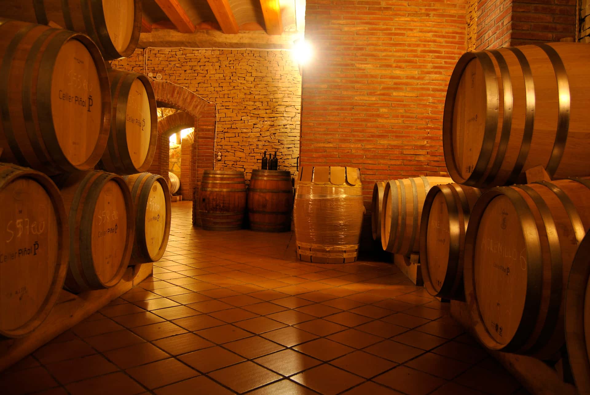Weinprobe und Führung im Celler Piñol