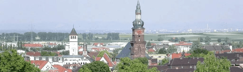 Grünstadt wine city