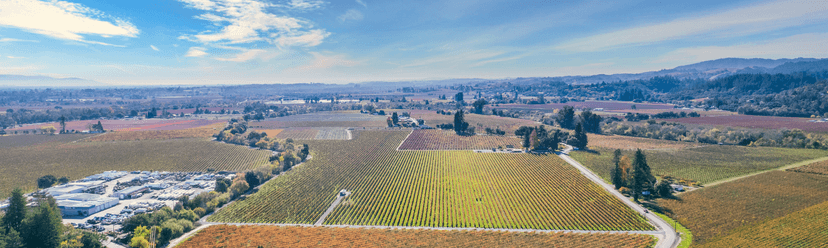 Healdsburg wine city