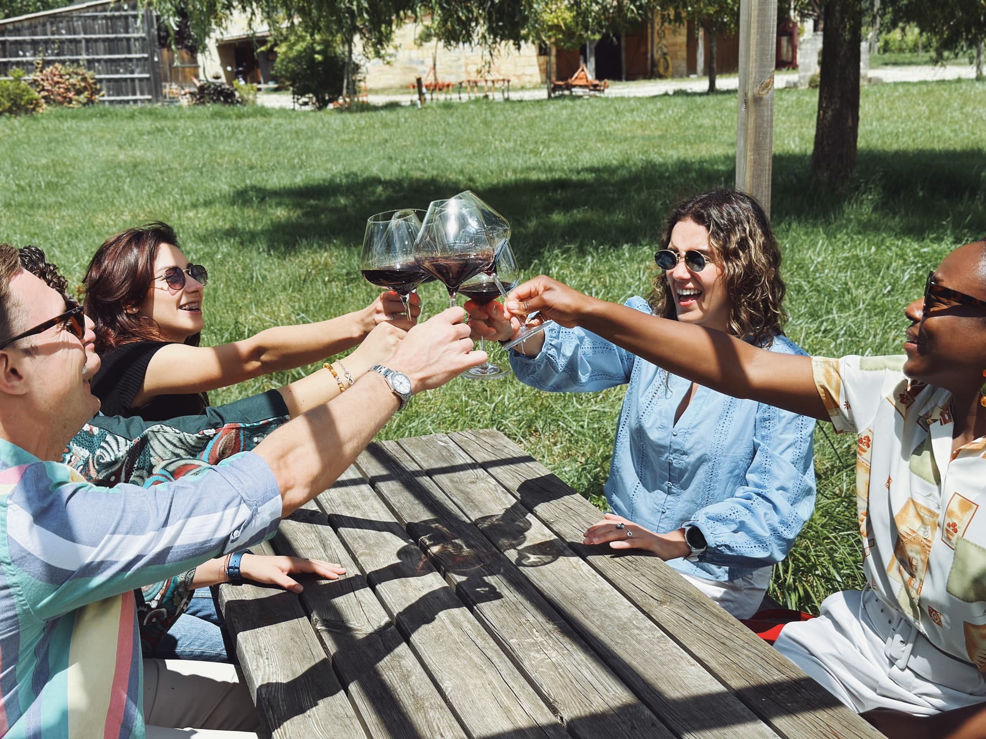 New wave Bordeaux: vineyard tour & tasting