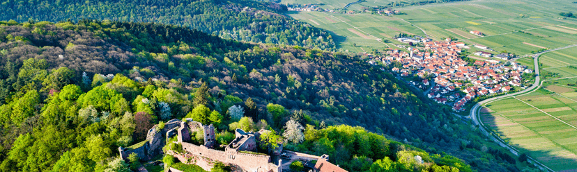 Landau wine city