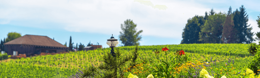 McMinnville wine city