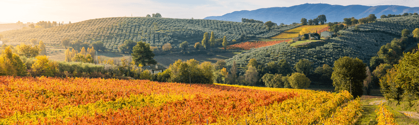 Montefalco wine city