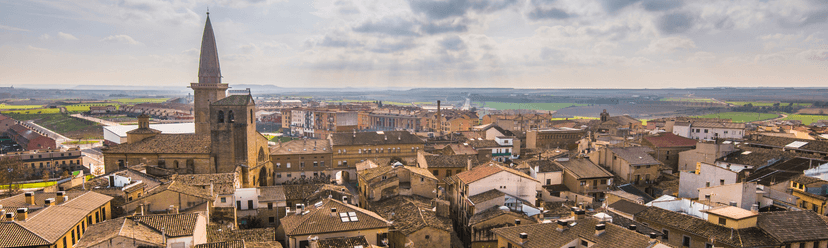 Olite wine city