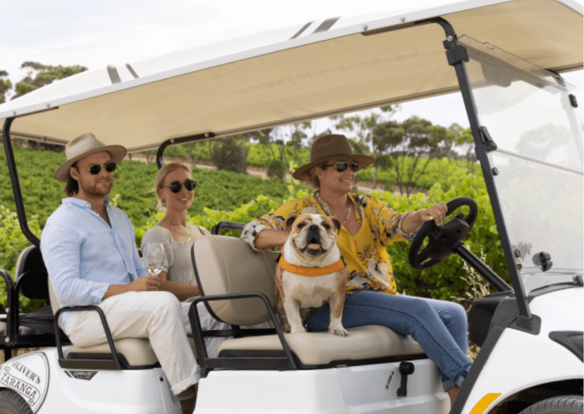 South Australia Vineyard Sip & Explore Tour