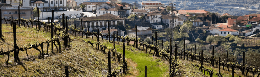 Peso da Régua wine city