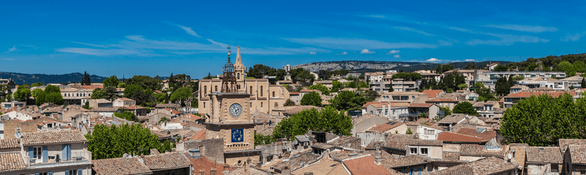 Salon-de-Provence wine city