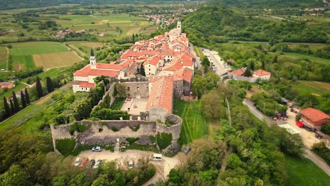 Visite des vins de la vallée de Vipava