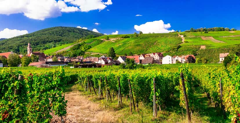 Excursão de meio dia para descobrir os vinhos da Alsácia saindo de Estrasburgo