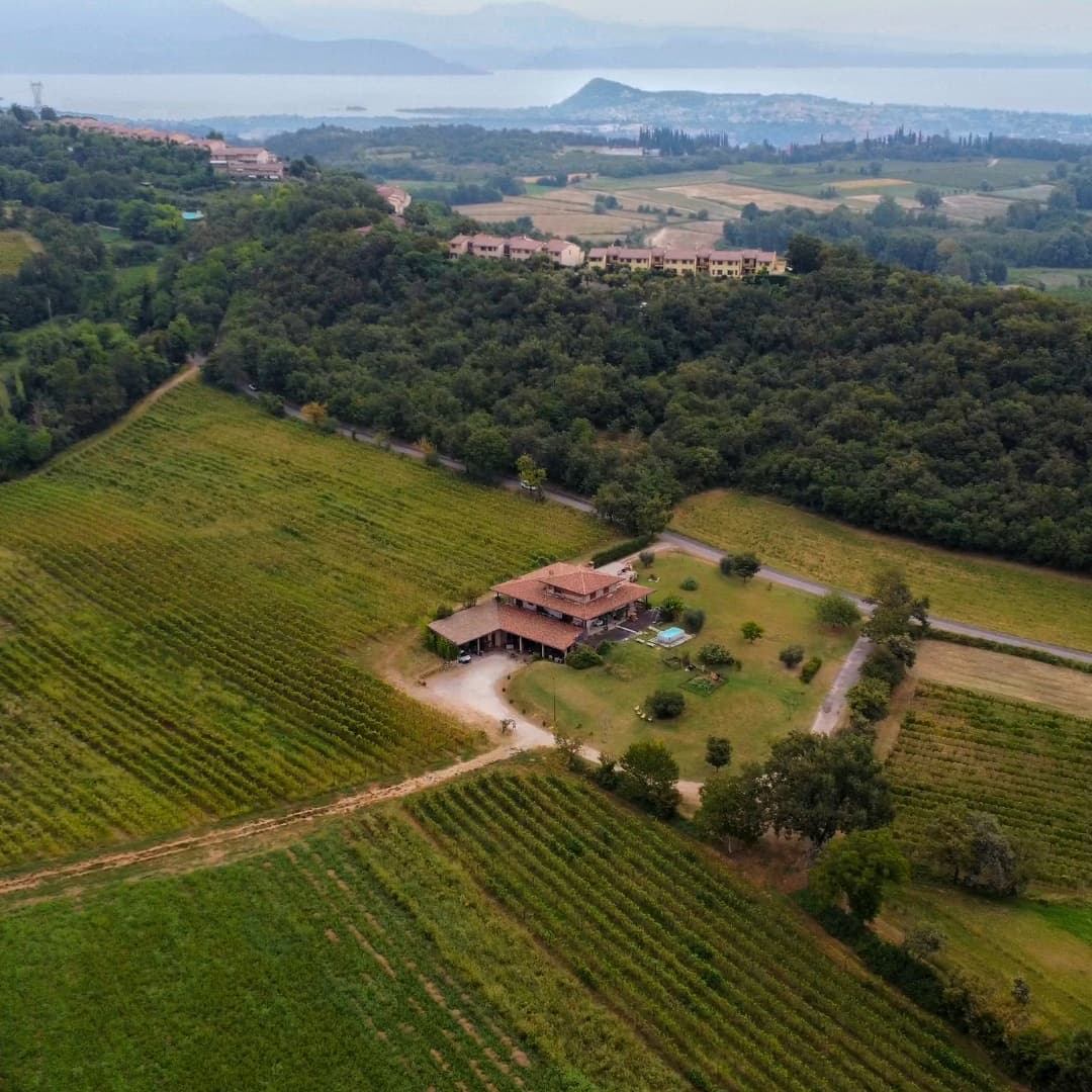 Lombardy Organic Wine Tour & Tasting at Pietta