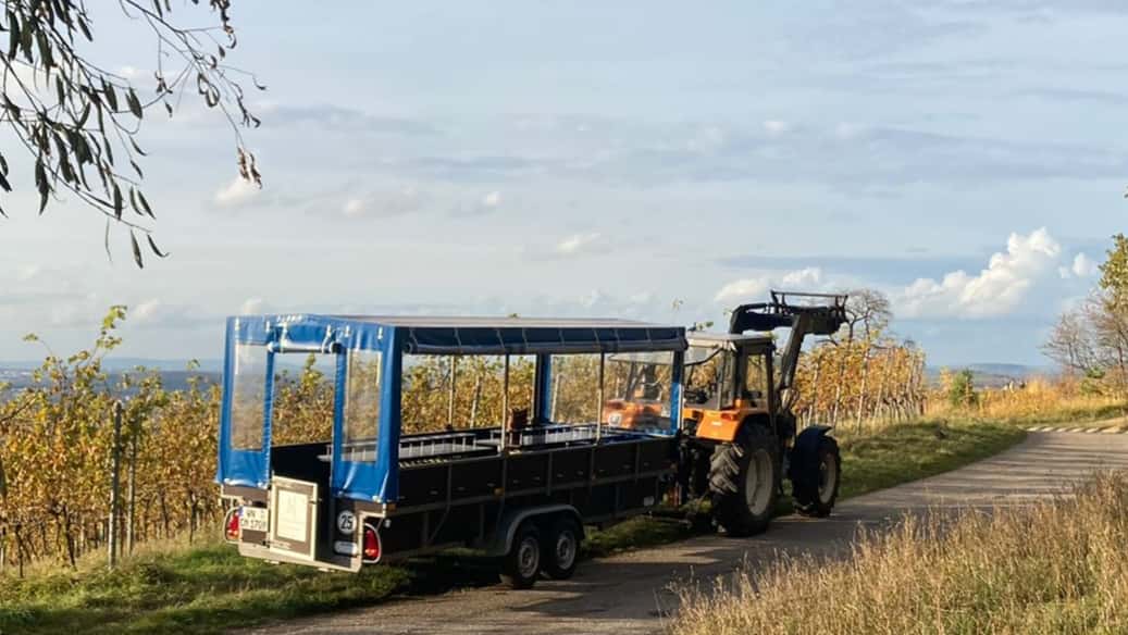 Vino y conducción en Mannbrecher Wines