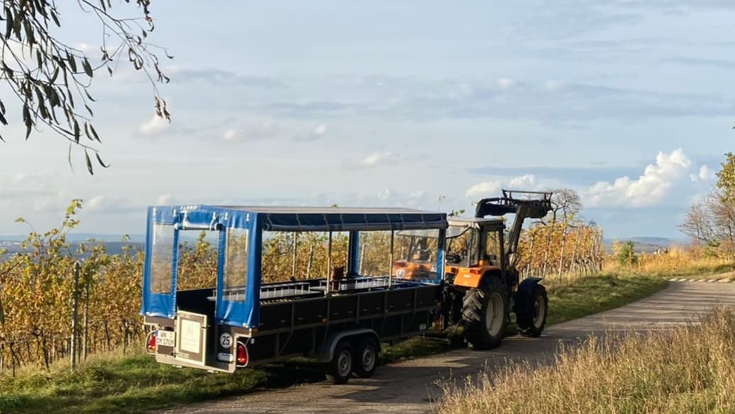 Vineyard Wagon & Wine Tour in Württemberg