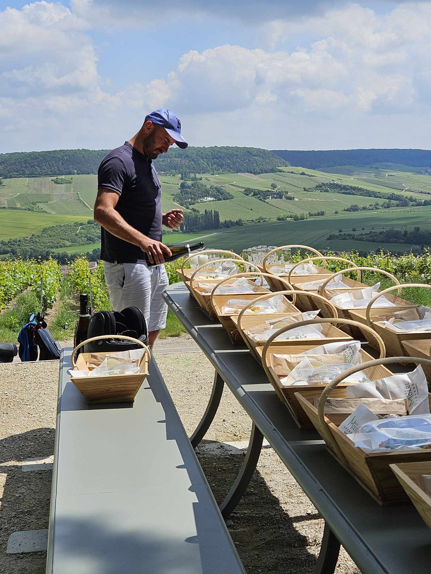 Champagne Vineyard Tour & Gourmet Picnic