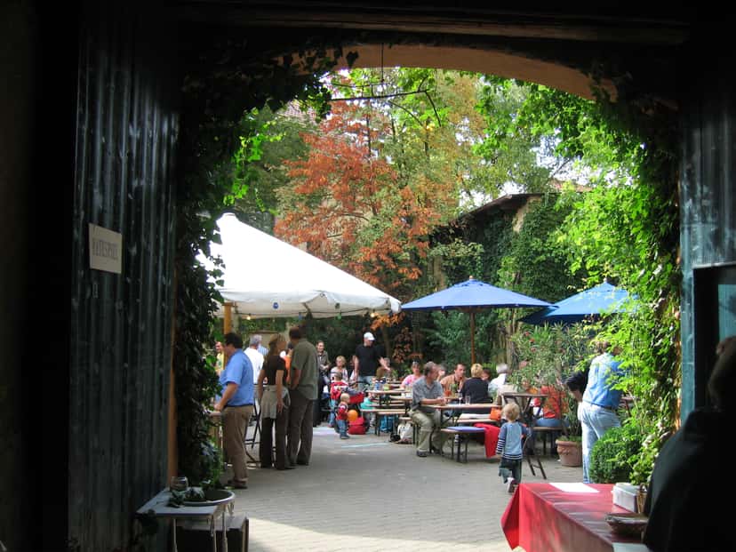 Dégustation de vins et visite au Weingut Axel Schmitt