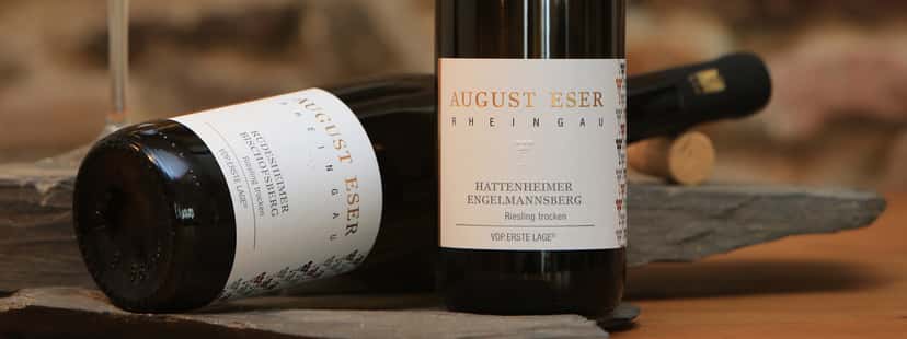 Cata de vinos y visita guiada al Weingut August Eser