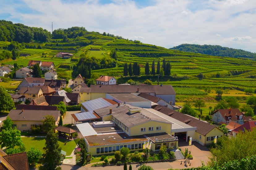 3 Weinprobe und Kellerführung in der Bickensohler Weinvogtei