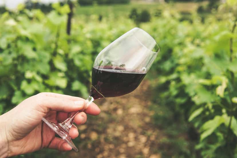 VinoTour X-plorer (Tour privato)