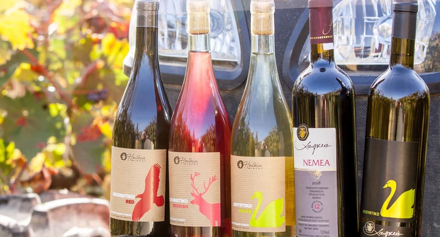 Degustação de vinhos na vinícola orgânica Halkia