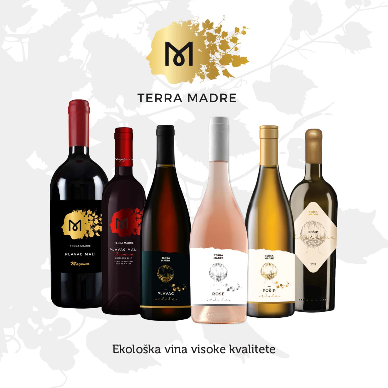 Weinprobe und Tour im Weingut Terra Madre